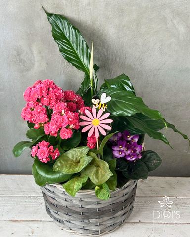 Mother's Day Planters