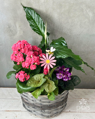 Mother's Day Planters