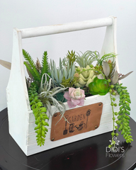 Succulent Garden Basket