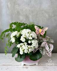 Mother's Day Planters