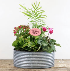 Mother's Day Planters