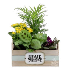 Mother's Day Planters