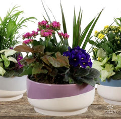 Mother's Day Planters