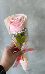 Puppy Love - Single Stem Rose