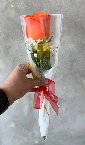 Puppy Love - Single Stem Rose